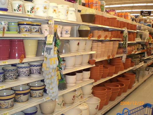 Resize of CIMG0265.JPG